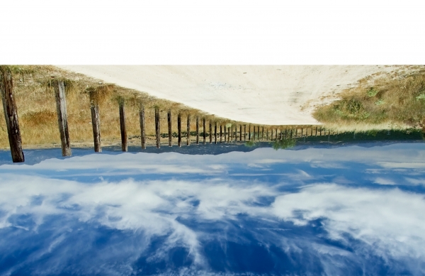 Creation of Rear View: Step 4